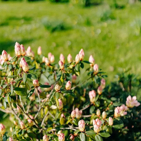 아파트 Studio A La Campagne