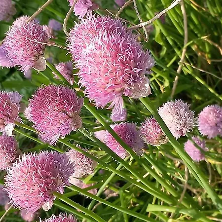 아파트 Studio A La Campagne *