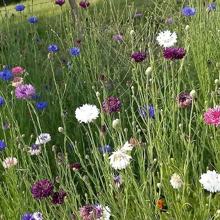 아파트 Studio A La Campagne Saint-Martin-le-Gaillard