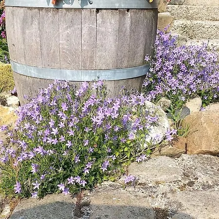 A La Campagne