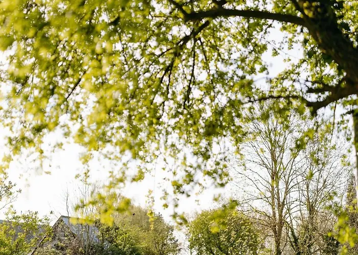 Апартаменты Studio A La Campagne