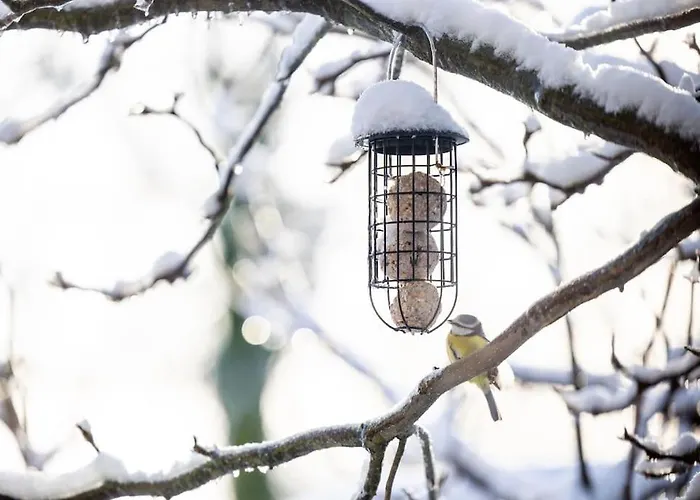 Апартаменты Studio A La Campagne