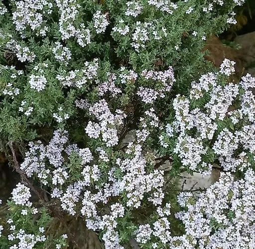 Апартаменты Studio A La Campagne *