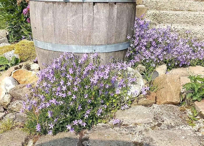 Studio A La Campagne